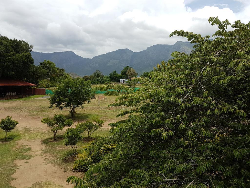 Tamarind Tree Hotel Ooty Room photo